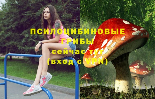 гидропоника Алексеевка