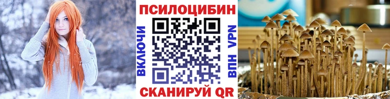 omg как войти Трёхгорный Псилоцибиновые грибы Magic Shrooms