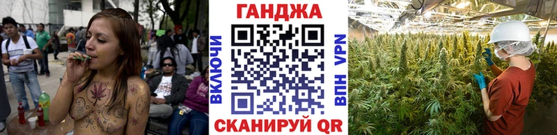 цены Трёхгорный Конопля план
